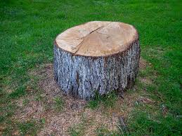 Best Lawn Grading and Leveling  in Mequon, WI