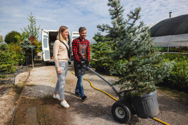 Leaf Removal in Mequon, WI